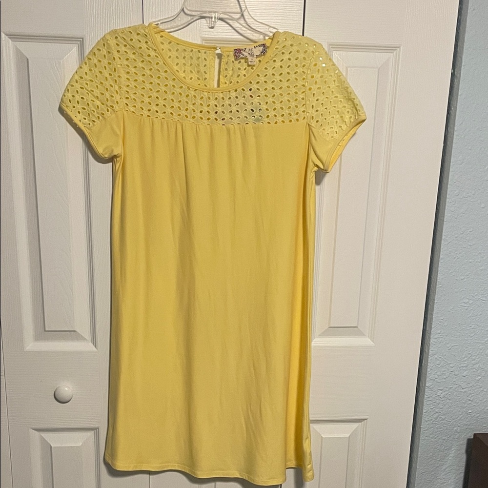 Pink Rose Yellow Eyelet Mini Dress